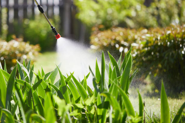 Tamper-Resistant Bait Stations for Rodents in Morganville