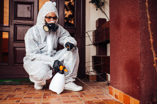 Attic and Crawl Space Rodent Treatment in Morganville
