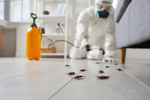 Commercial Rodent Management in Morganville